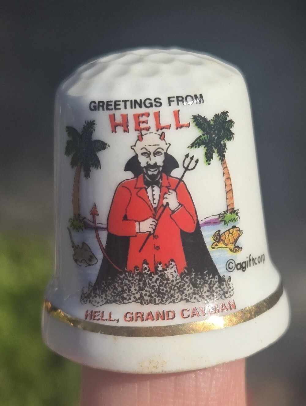 Hell Grand Cayman Souvenir Thimble "Greetings From Hell"